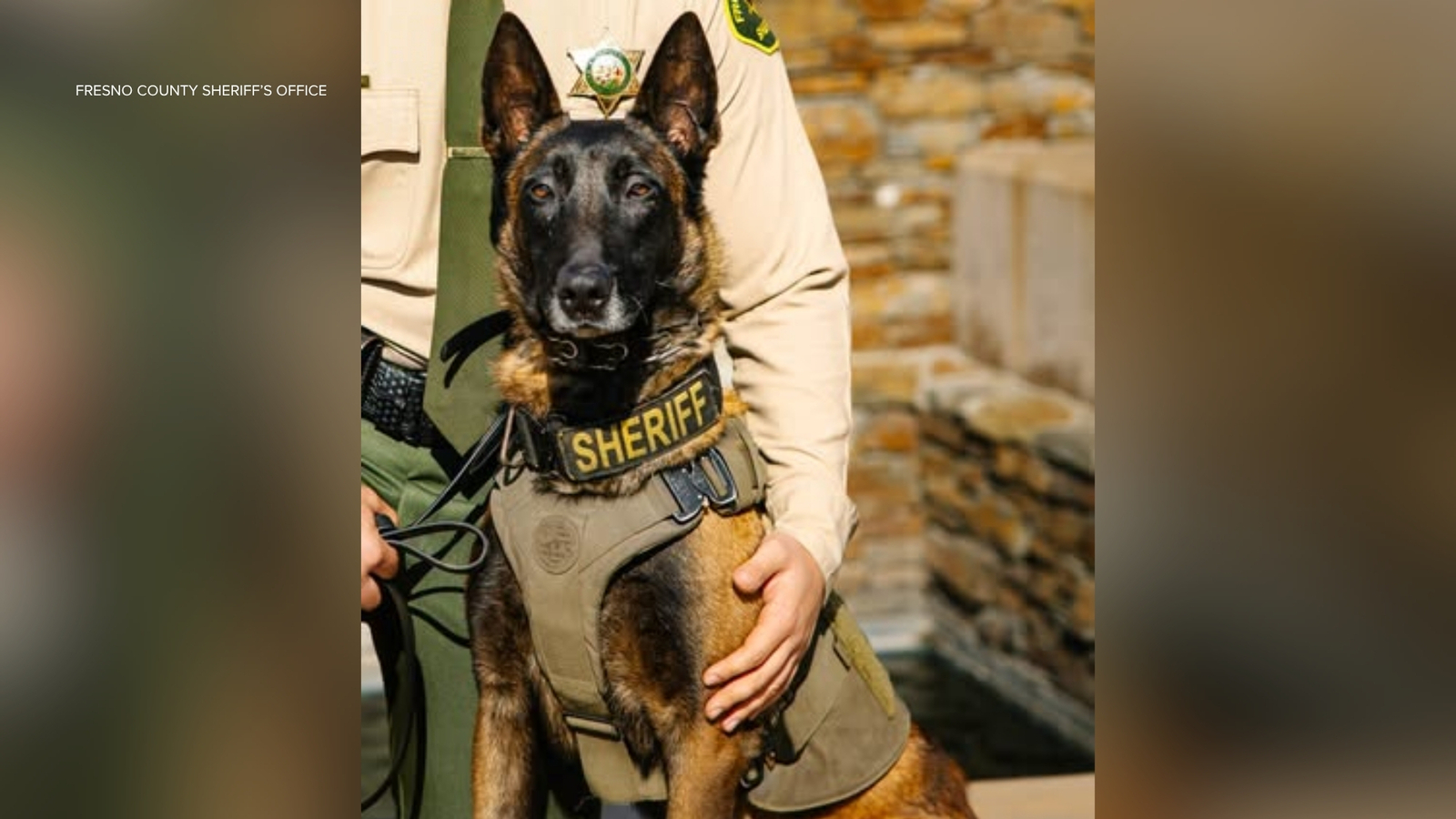 Fresno County Sheriff's Office K-9 killed in hit-and-run after running ...