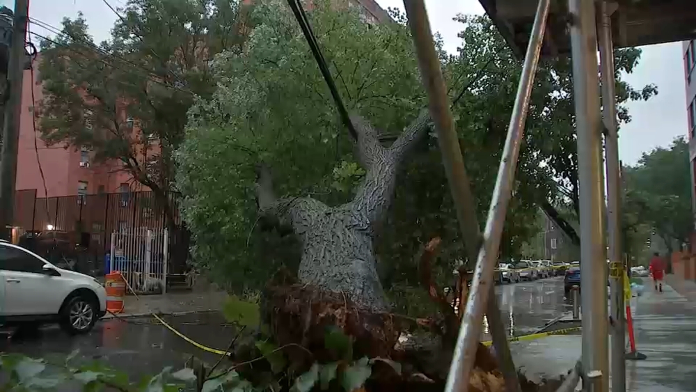 Powerful storms sweep across NYC, leading to flash floods, downed trees