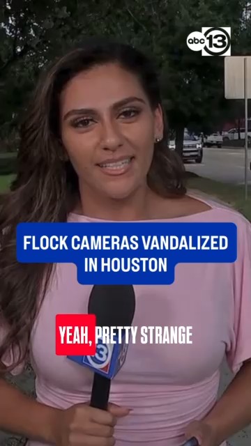 Flock cameras vandalized in Houston