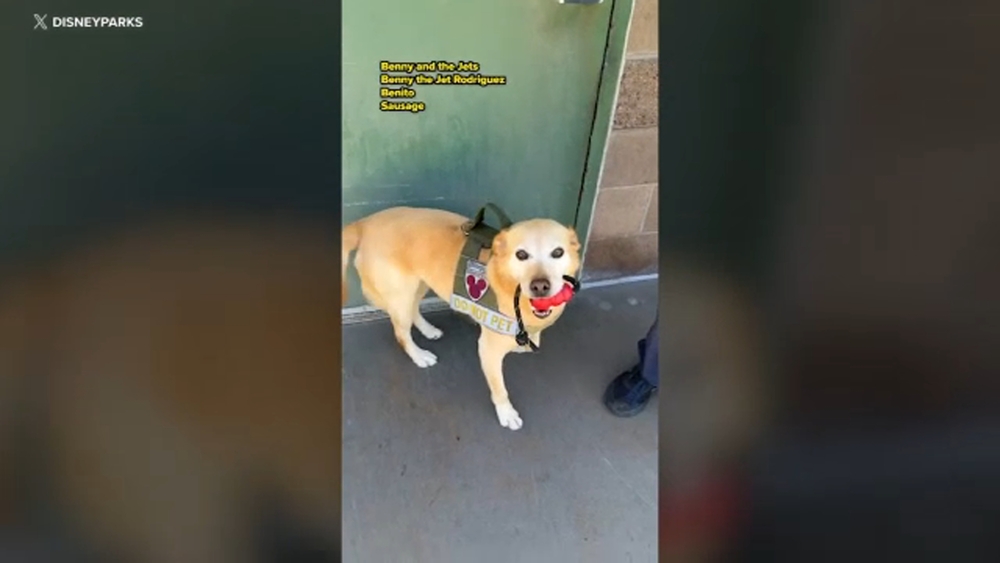 Disneyland security dog Benny retires after 6 years