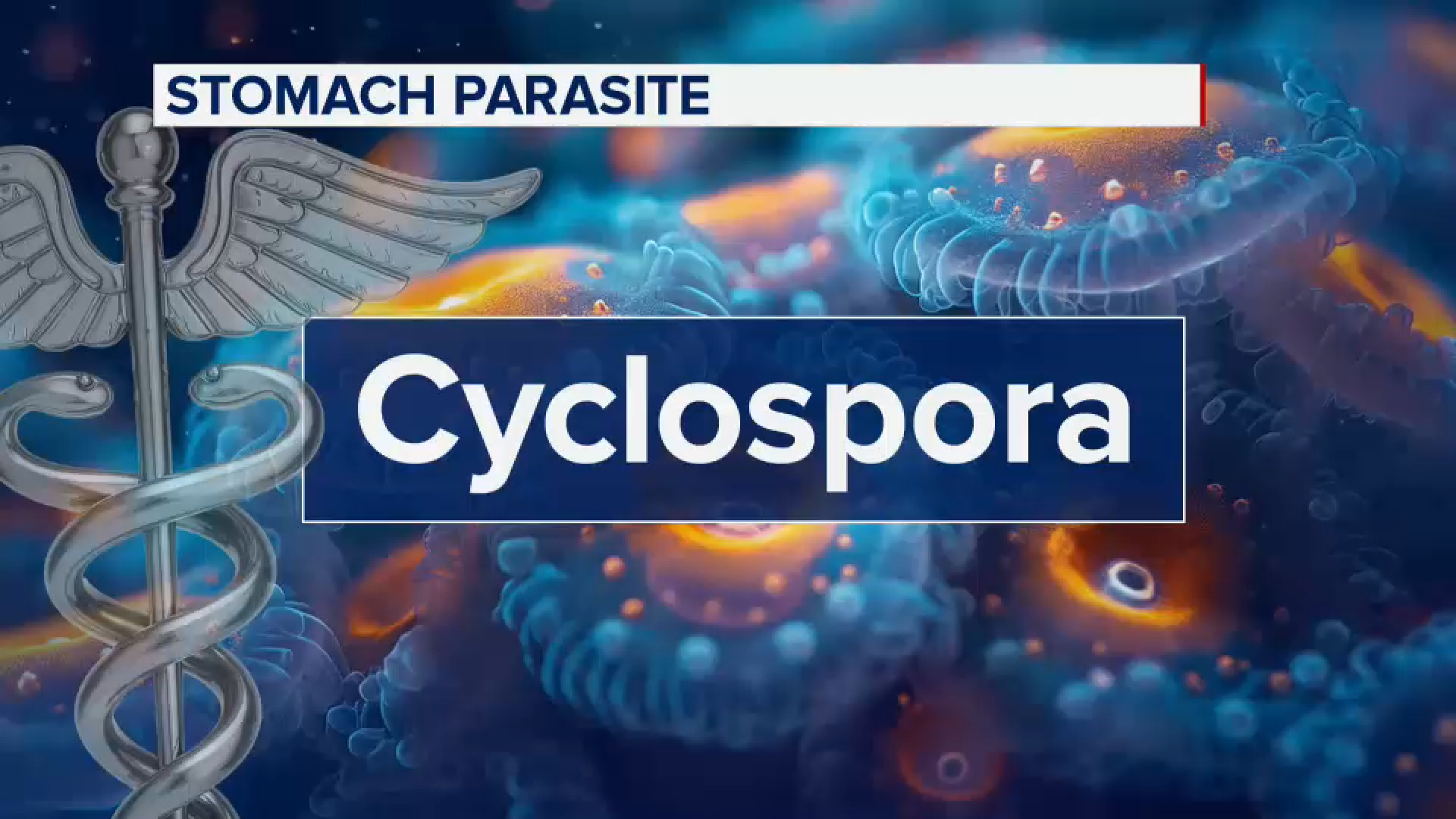 Tips to stay safe as cases of stomach parasite reported in Tri-State