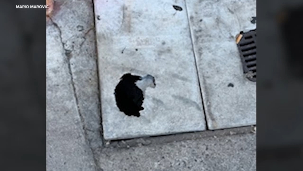 Newport Beach business owners say busy day was cut short due to chaos