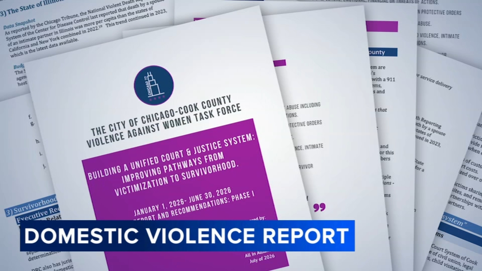 Domestic violence task force report highlights challenges faced by survivors in Cook County courts