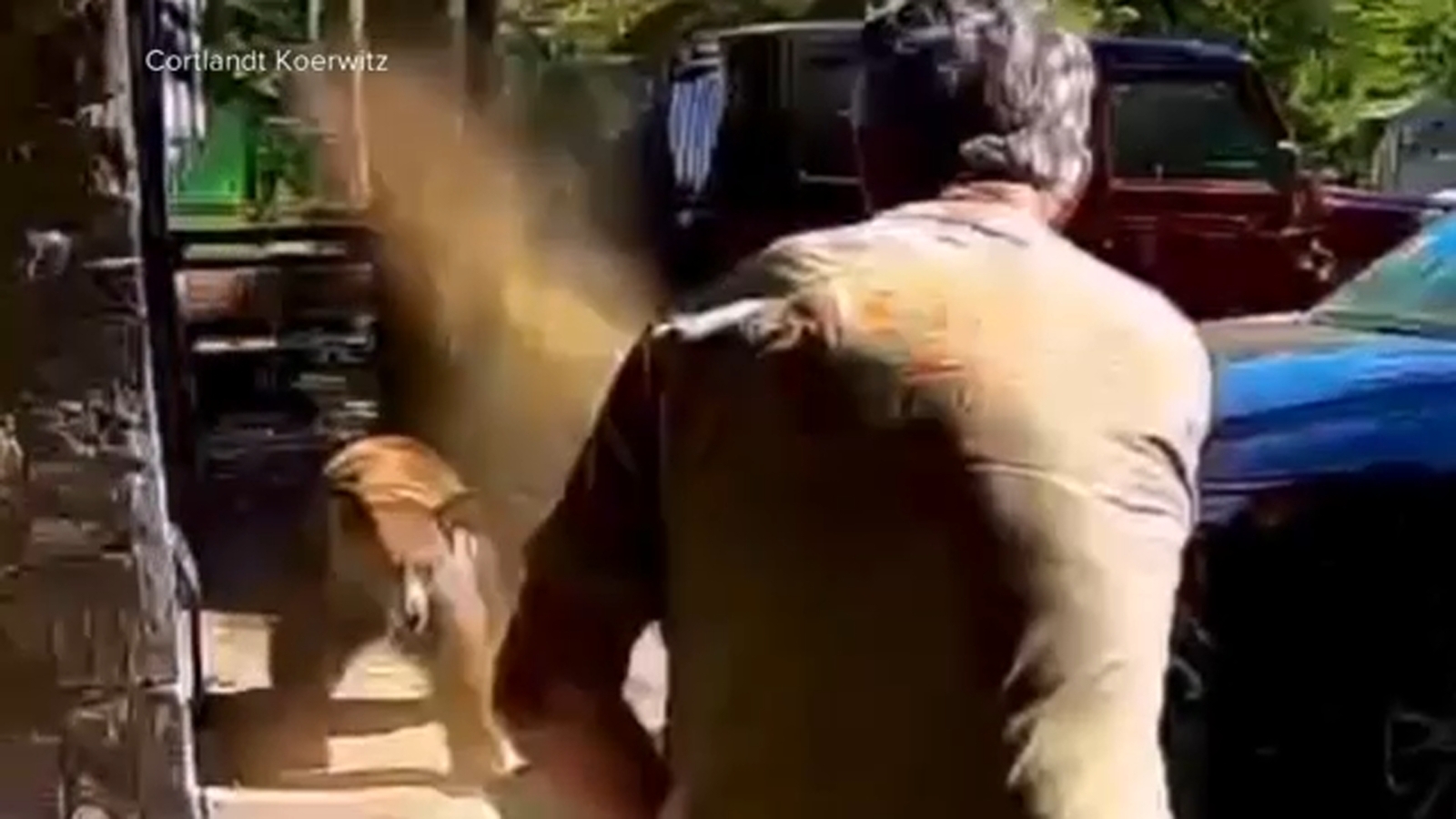 Bear spray helps Lake Tahoe father fend off charging bear after daughters spot animal going through garbage Bear spray helps Lake Tahoe father fend off charging bear after daughters spot animal going through garbage