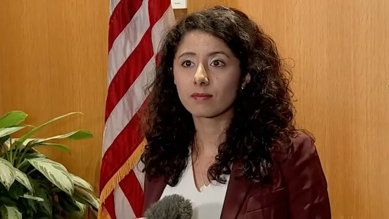 Judge Lina Hidalgo announces she won't be available in coming weeks due to mono diagnosis