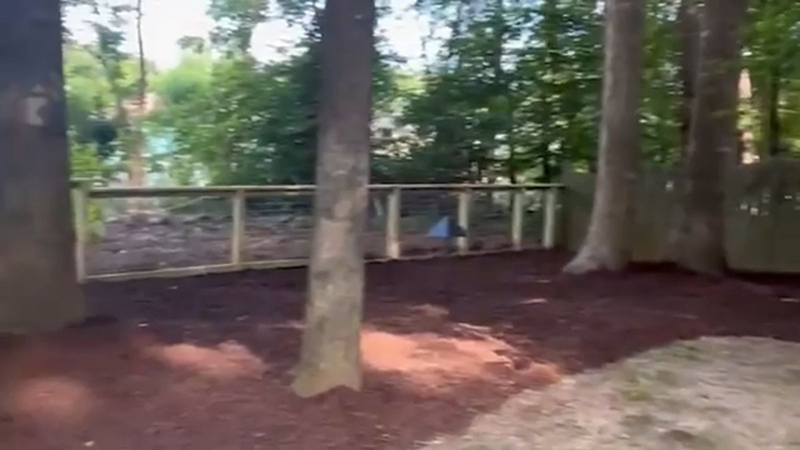 Despite NC drought, teen's landscape business is still seeing green after shift in focus
