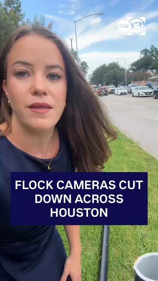 Flock cameras cut down across Houston