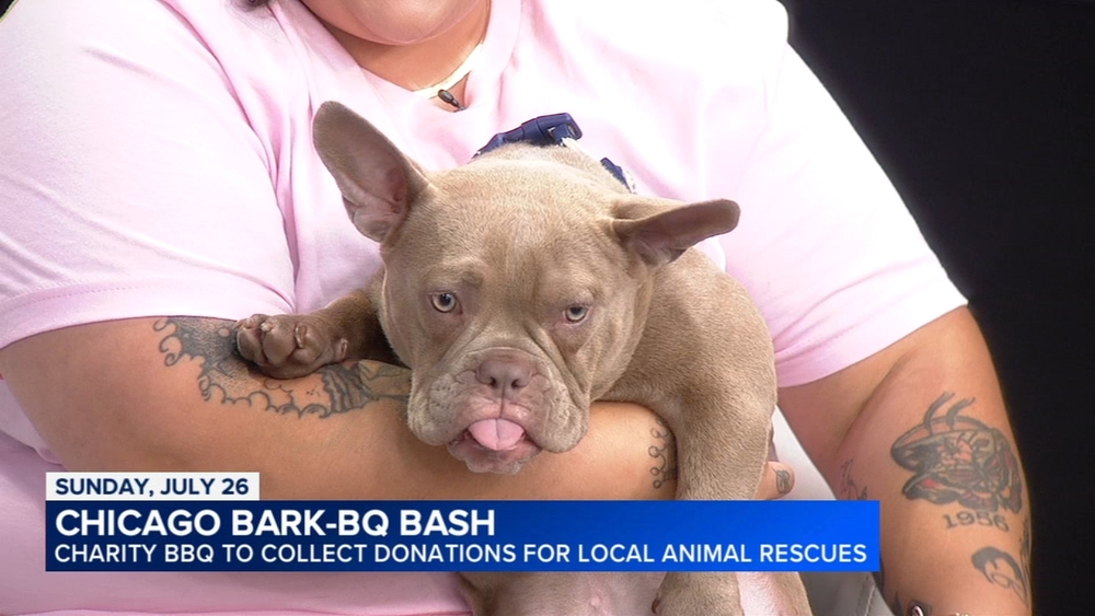 Chicago Bark-BQ Bash collects donations for local animal rescues