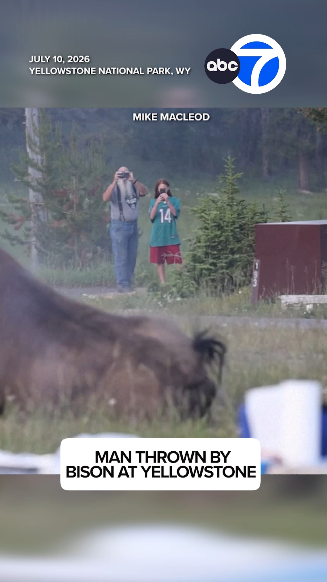 Man attacked by bison at Yellowstone National Park