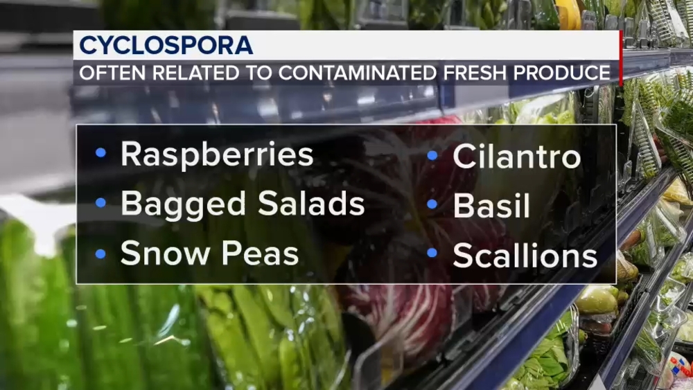 Cyclosporiasis outbreak continues to spread across US; causes not yet identified