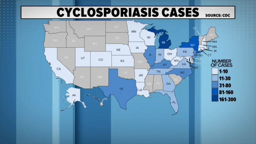 NYC sees three-fold increase in parasitic infections from last year