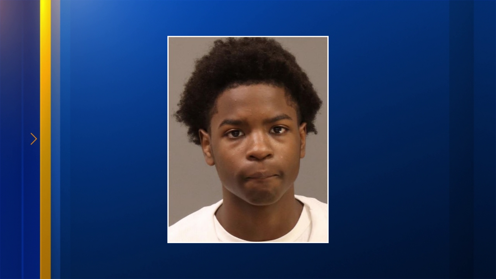 14-year-old charged with murder in killing of pizza delivery driver in ...
