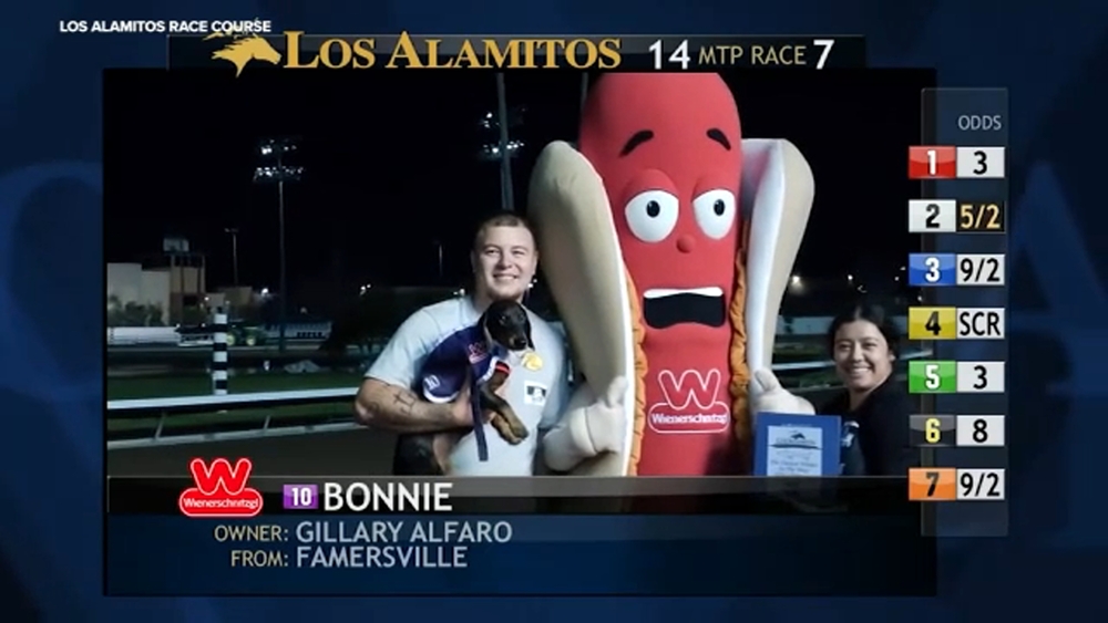 Farmersville dachshund wins crowned 'Fastest Wiener in the West' at national championship race