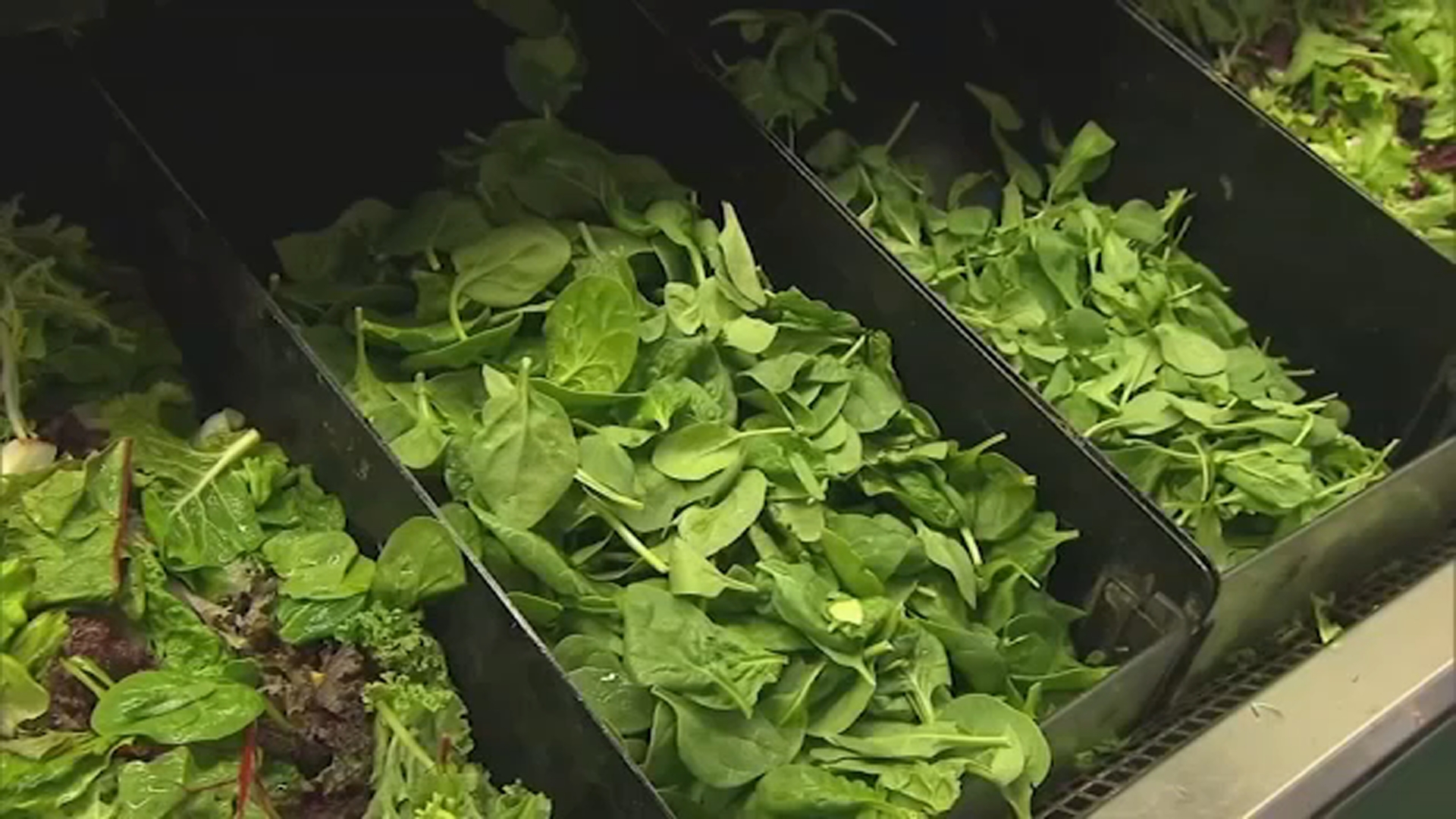 NC reports continued increase in Cyclospora cases