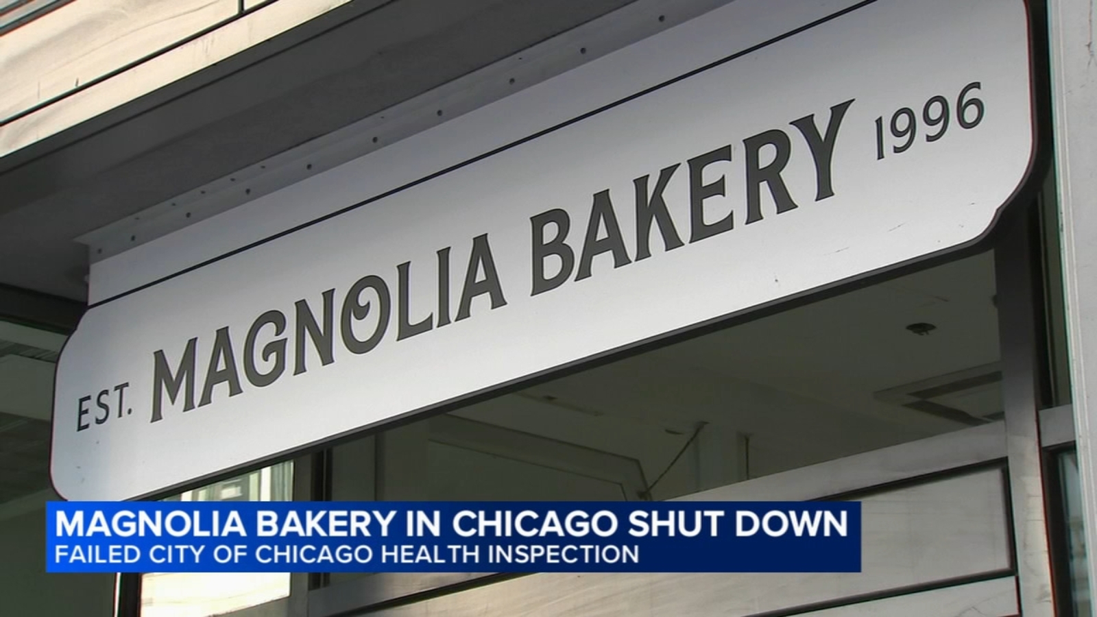 Magnolia Bakery in Chicago shut down after failing city health ...