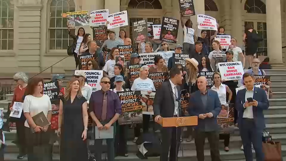 After tourist's death, NYC lawmakers consider move to ban horse-drawn carriages
