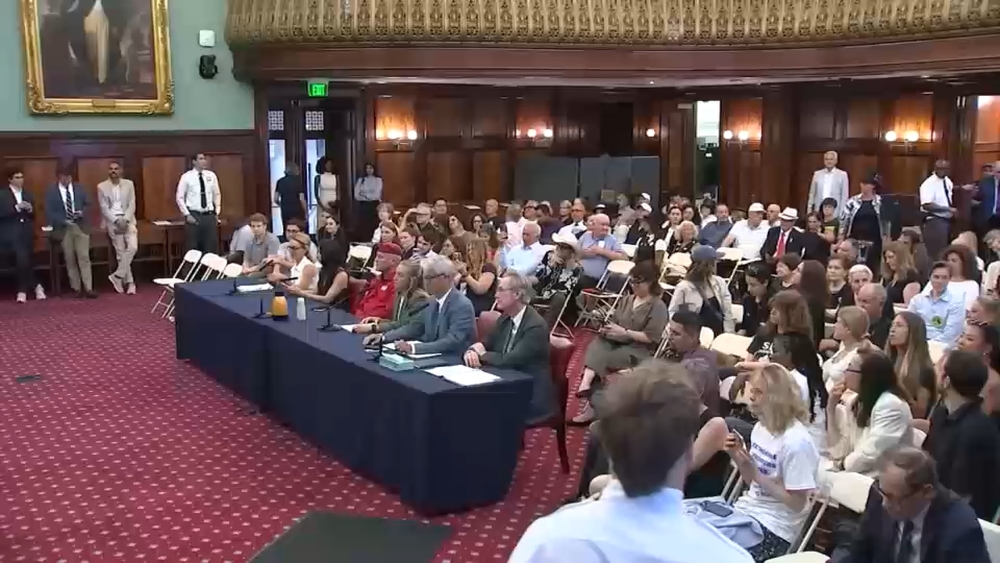 City Council holds hearing on bill that could ban horse-drawn carriages