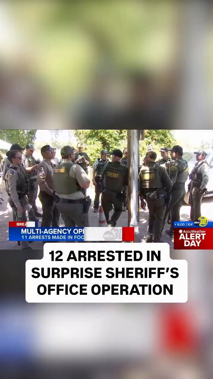 12 arrested in large multi-agency operation in Fresno County foothills