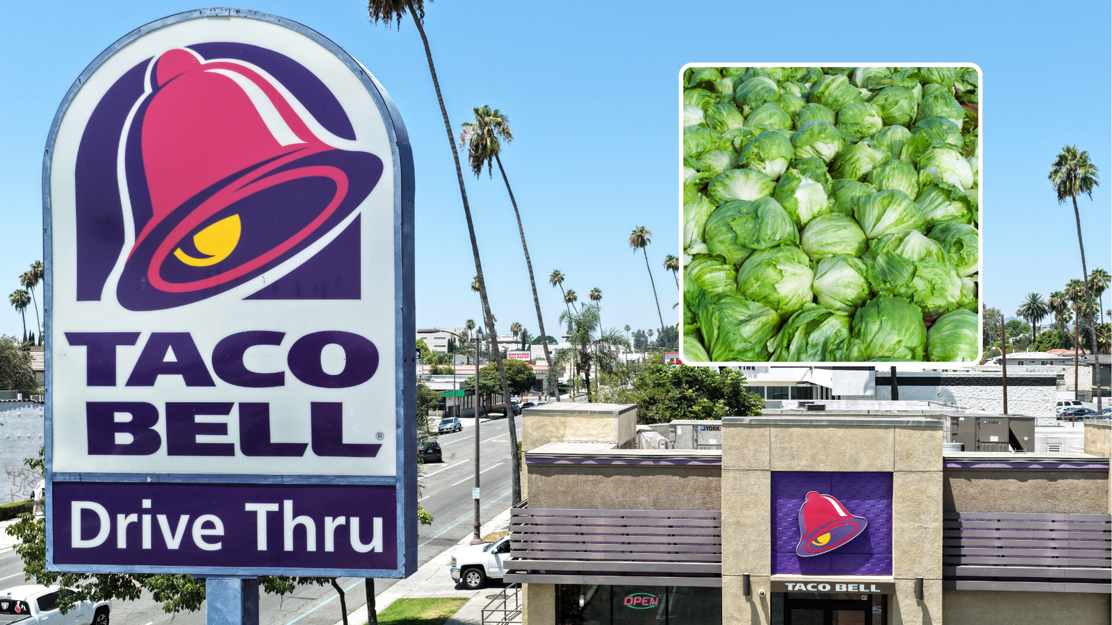 Cyclosporiasis outbreak linked to shredded lettuce served at some Taco Bell locations: Source Cyclosporiasis outbreak linked to shredded lettuce served at some Taco Bell locations: Source