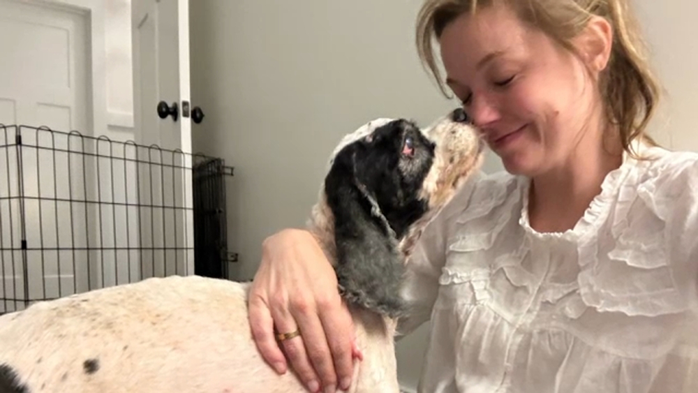 A happy update for 'Mr. Pickles', dog who was extremely neglected