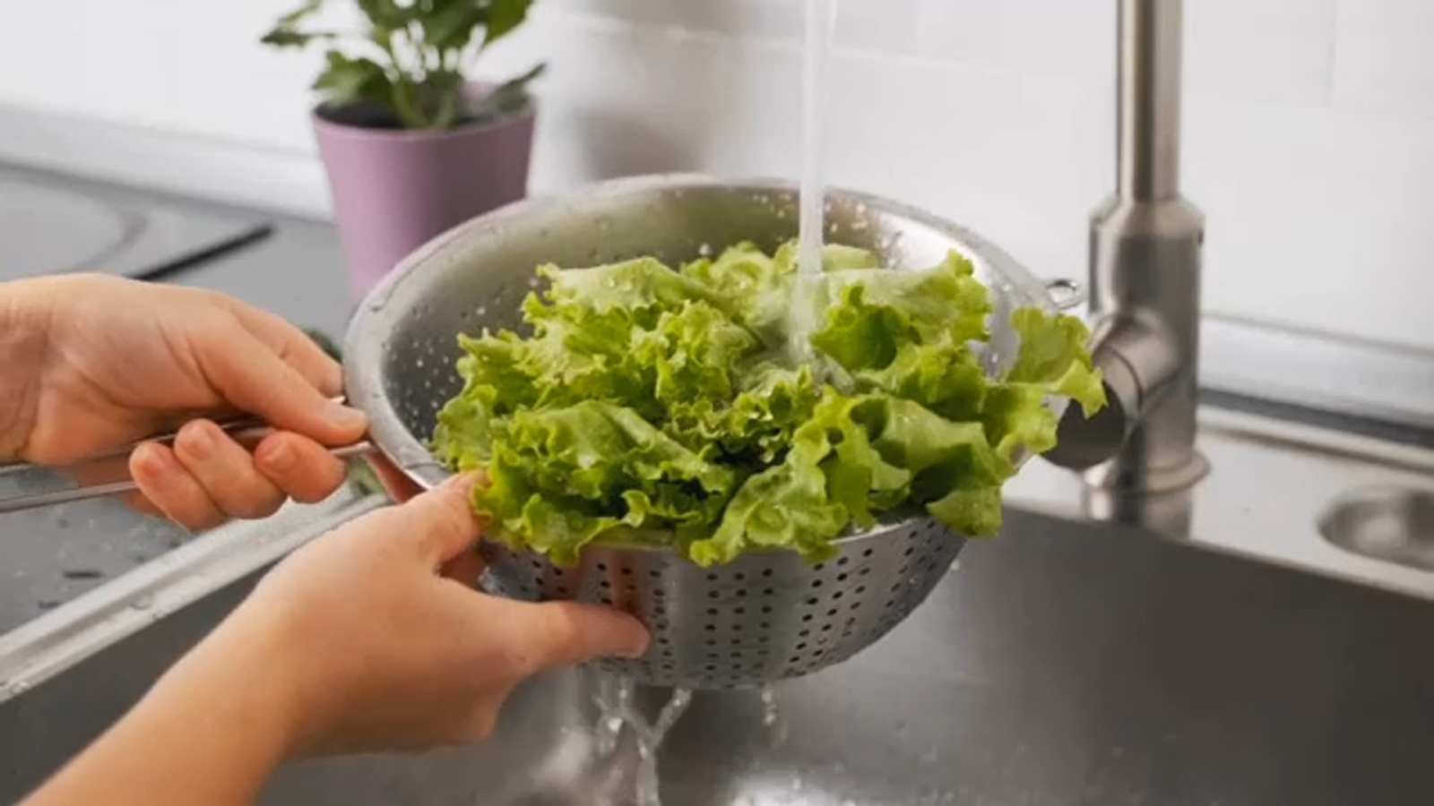 Washing produce the right way can help reduce cyclosporiasis risk. Here’s what to know Washing produce the right way can help reduce cyclosporiasis risk. Here’s what to know