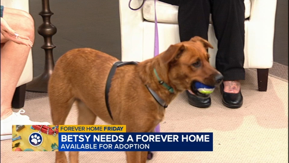 Forever Home Friday: Betsy