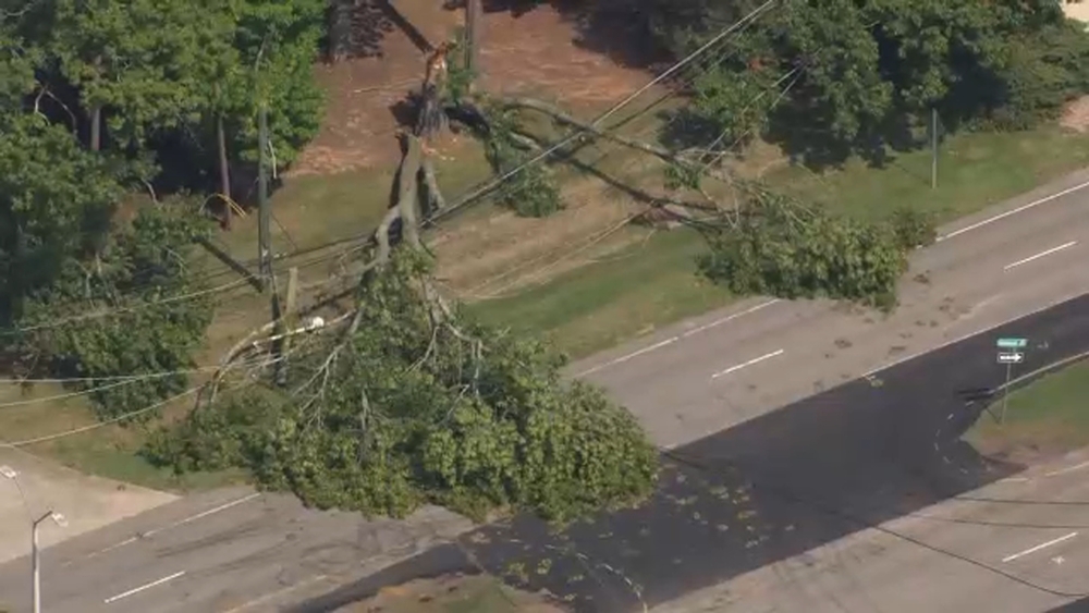 Huge tree takes down power lines, closing stretch of Glenwood Avenue