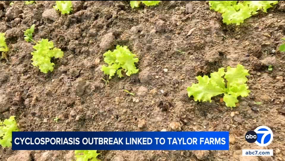 Taylor Farms recalls central Mexico iceberg lettuce from US market