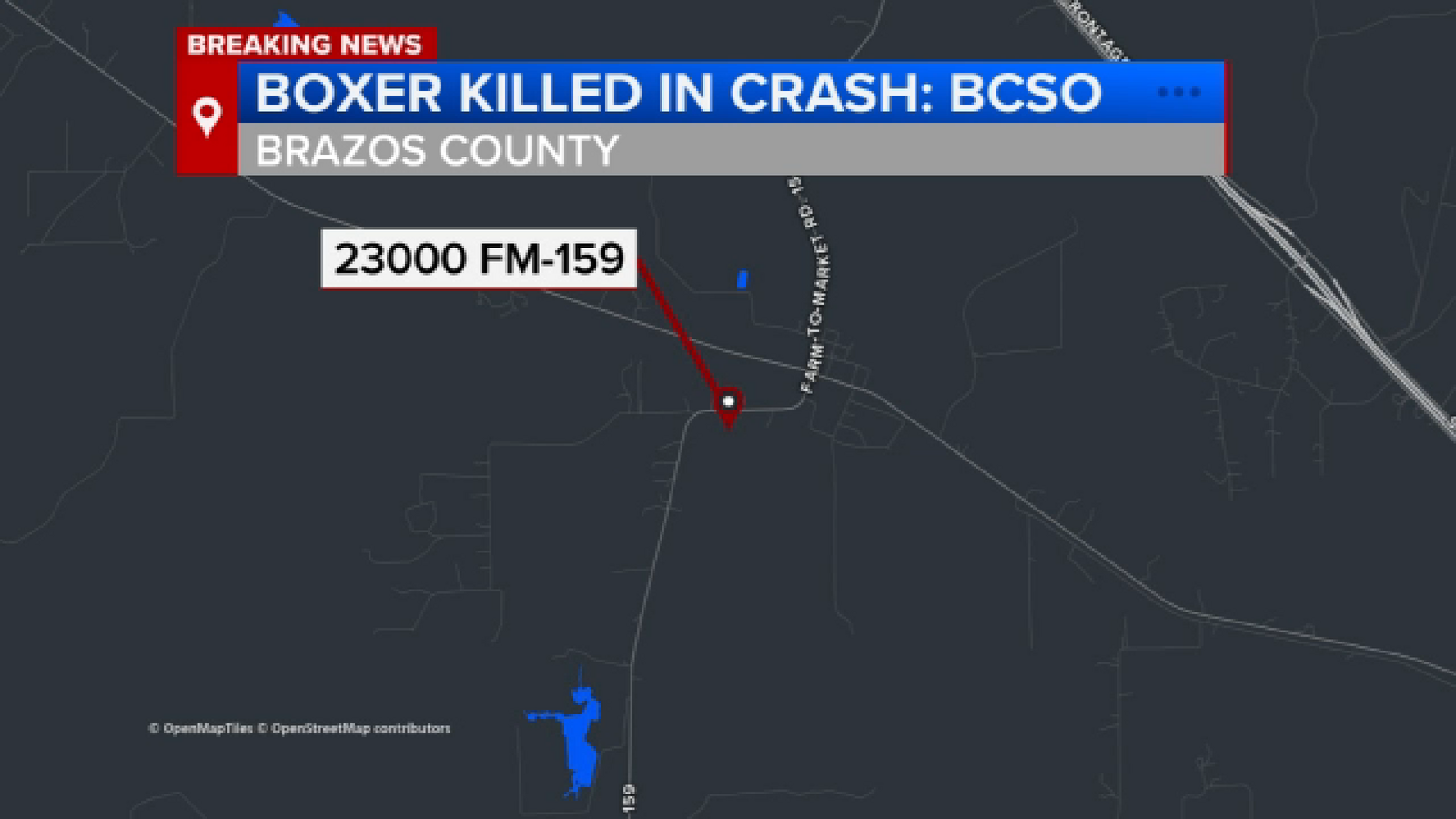 Boxer Hannah Rapp struck by car while riding bicycle, dies at 26, Brazos County Sheriff's Office says