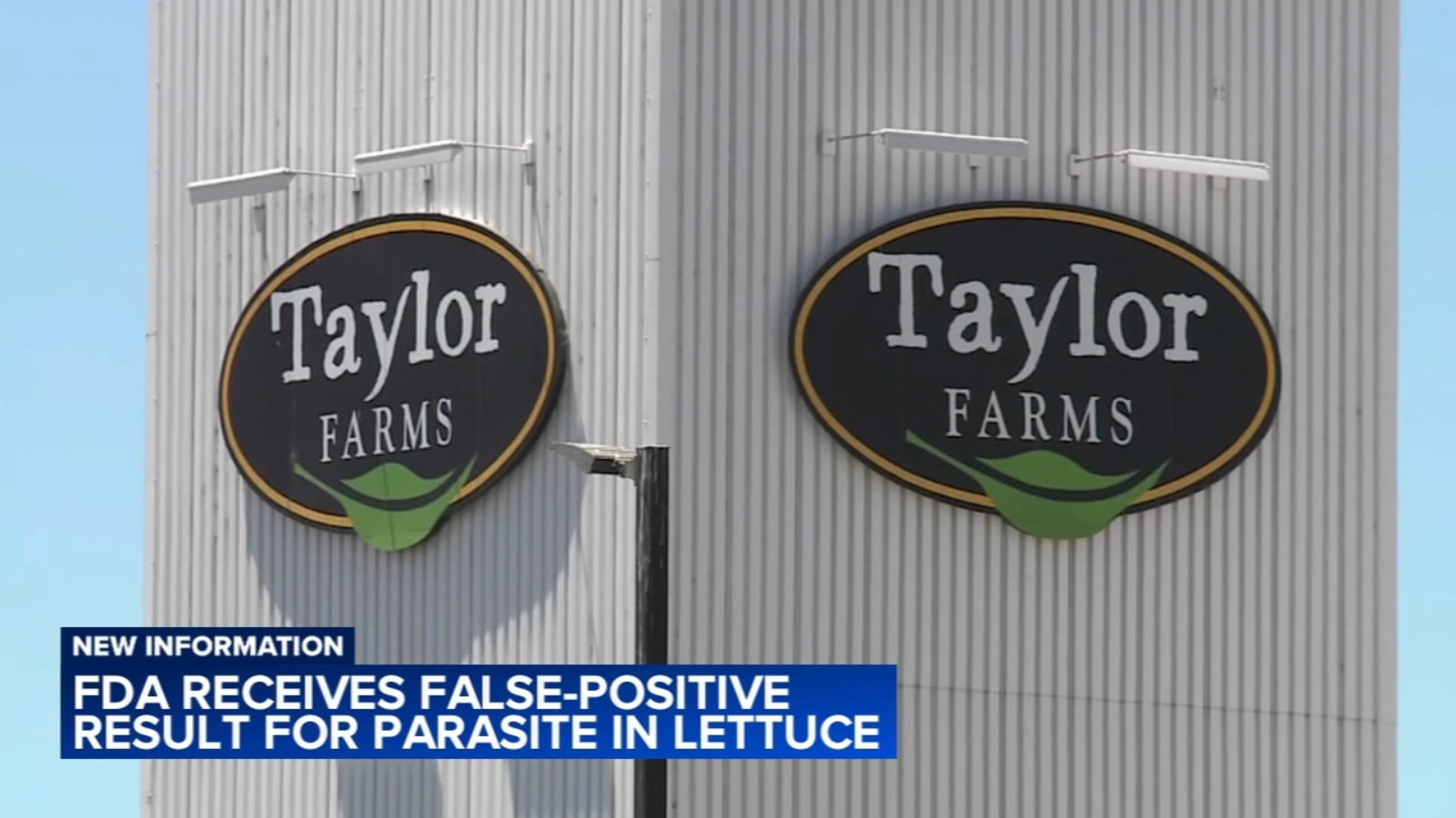 Cyclosporiasis outbreak: FDA receives false-positive result when testing Taylor Farms lettuce for the parasite Cyclosporiasis outbreak: FDA receives false-positive result when testing Taylor Farms lettuce for the parasite