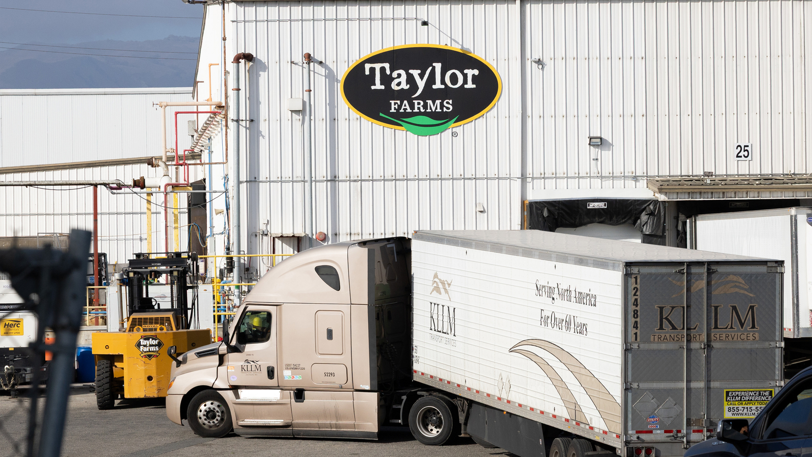 Taylor Farms recalls lettuce in 27 states amid cyclosporiasis outbreak: What to know Taylor Farms recalls lettuce in 27 states amid cyclosporiasis outbreak: What to know