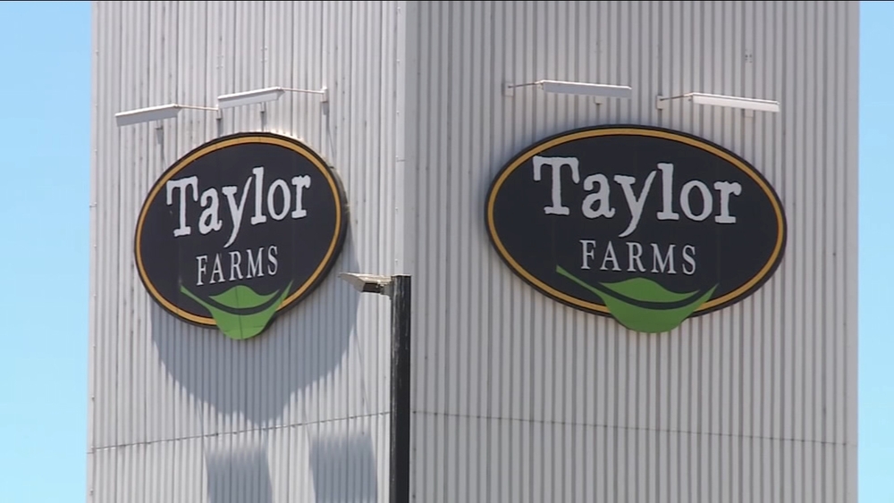 Taylor Farms recalls lettuce in 27 states amid cyclosporiasis outbreak