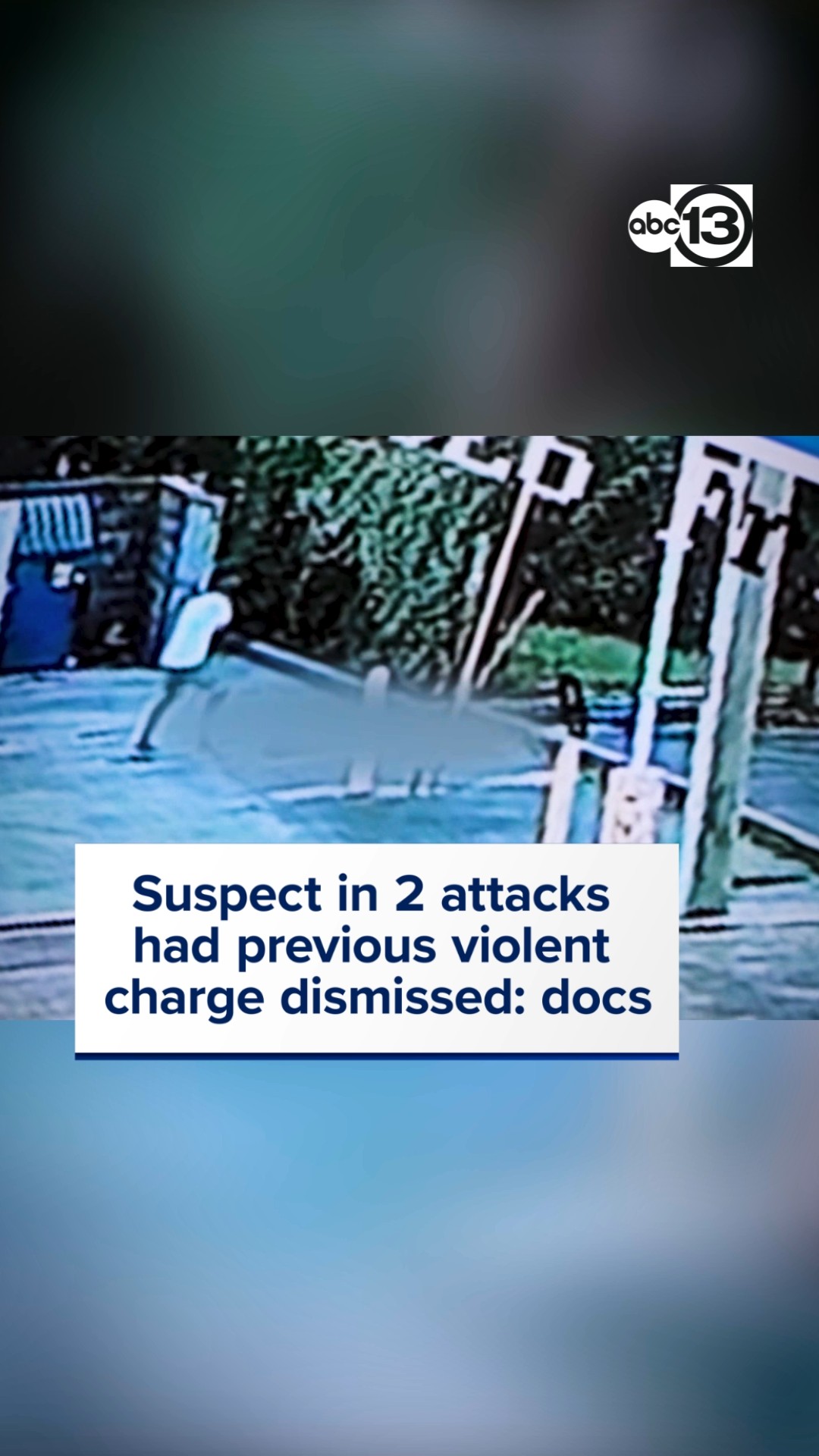 Suspect in 2 attacks had previous violent charge dismissed: docs