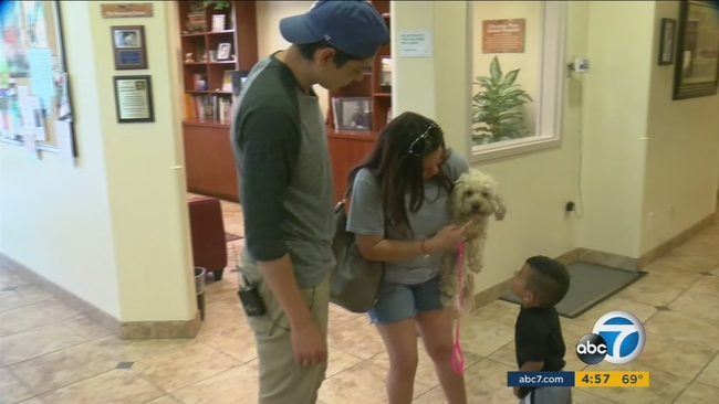 Victorville family reunited with long lost dog in Las Vegas - ABC7 Los ...