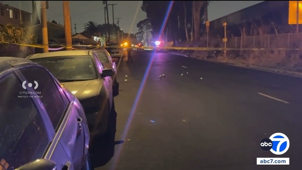 Woman is killed by stray bullet while sleeping in South LA home