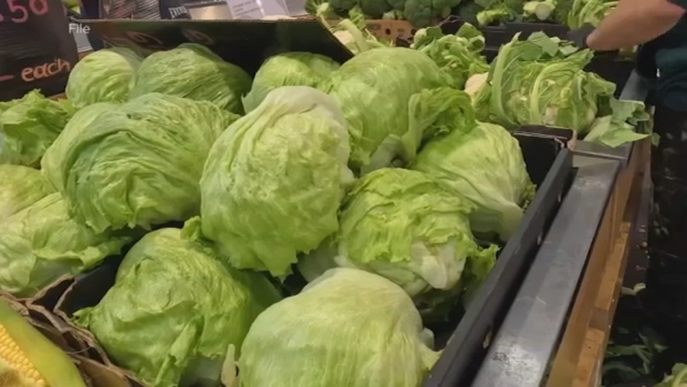 Lettuce not being tested in NC as possible cyclospora link