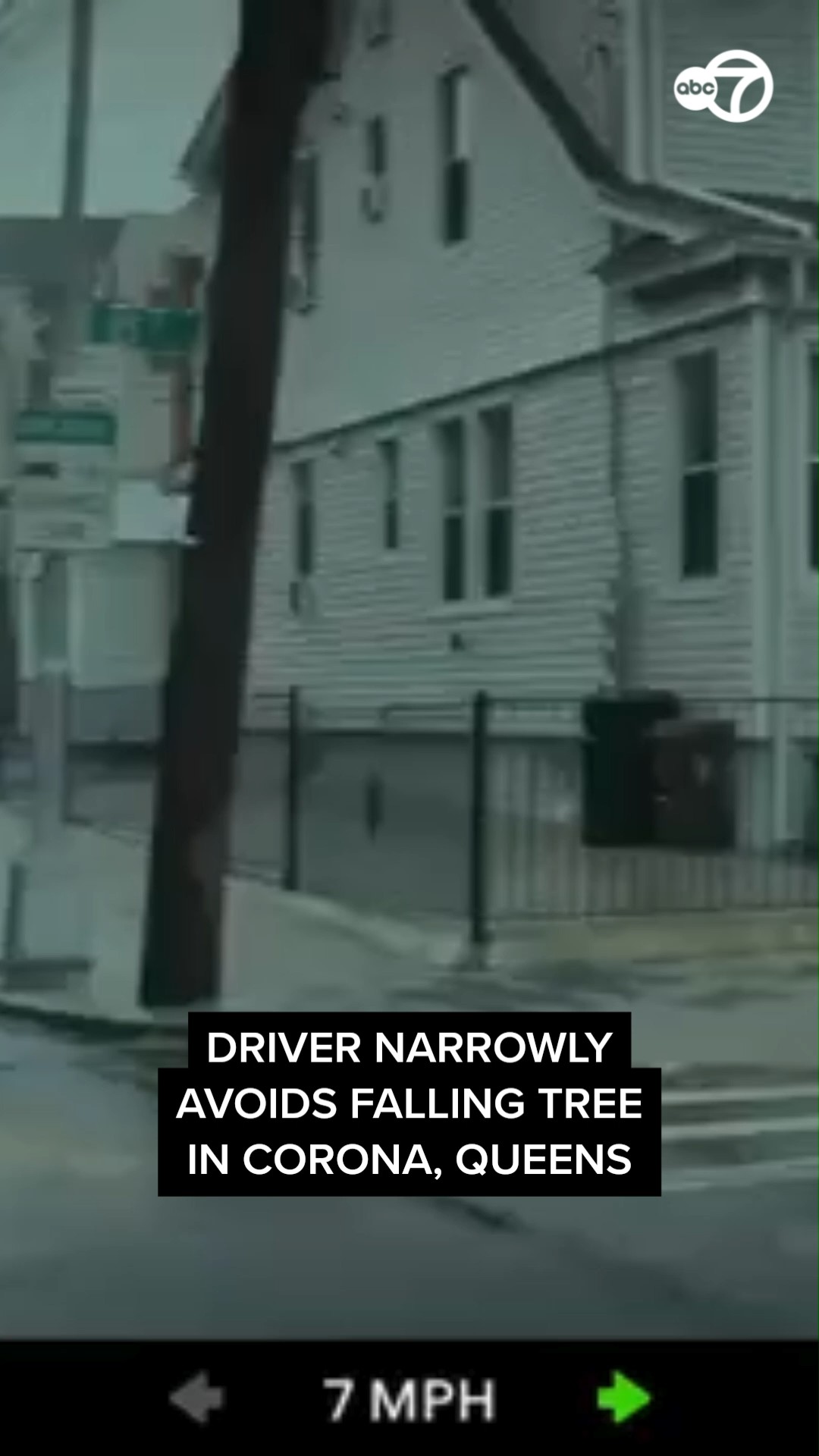 Driver narrowly avoids falling tree in Corona, Queens