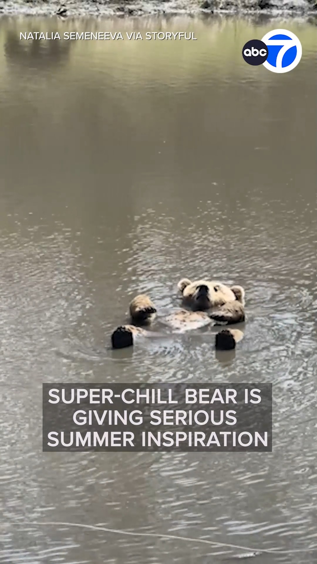 Super-Chill Bear Is Giving Serious Summer Inspiration

