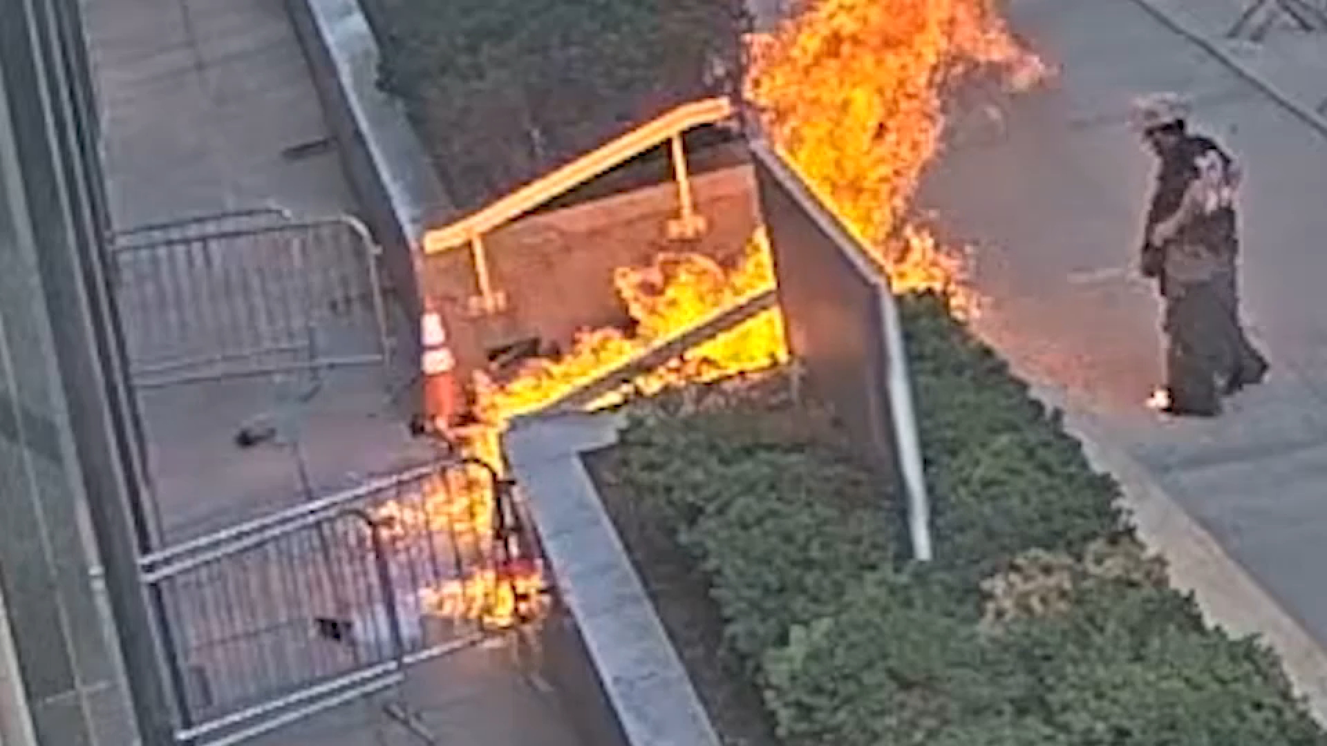 Video shows attack at 26 Federal Plaza as it unfolded