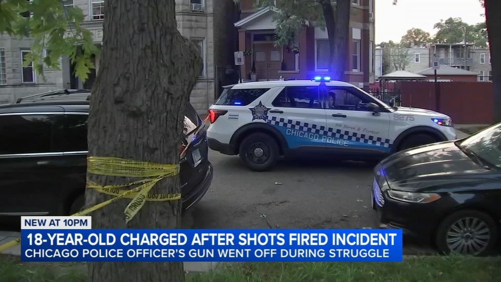 Chicago man accused of trying to steal police officer's gun on W. Side