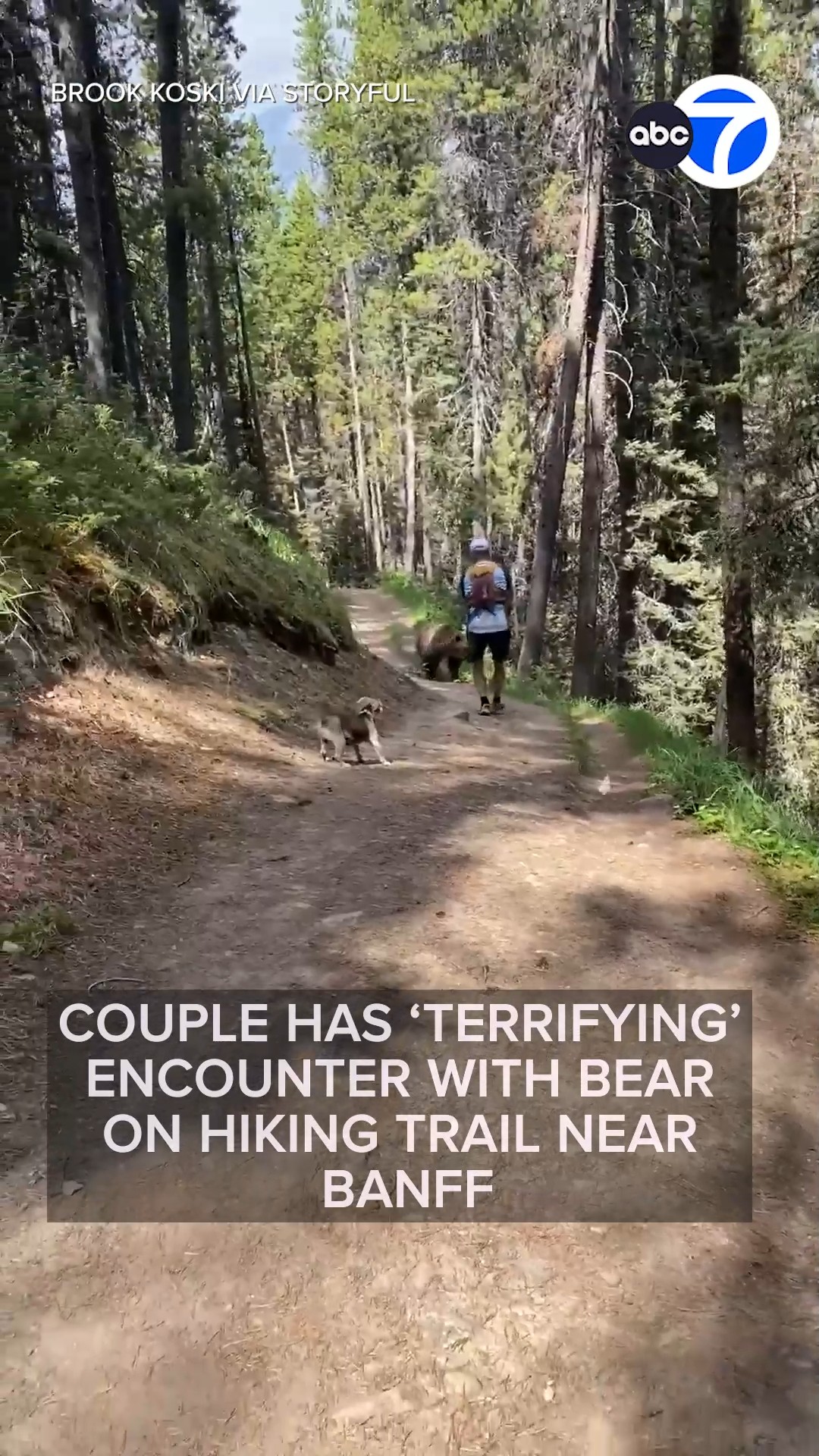 Couple has 'Terrifying' encounter with bear on hiking trail near Banff