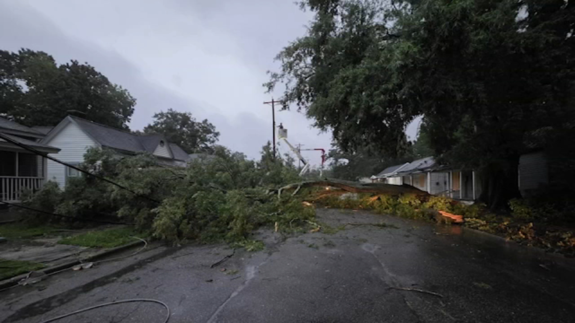 A tree fell onto power lines in Rocky Mount on July 23, 2026.