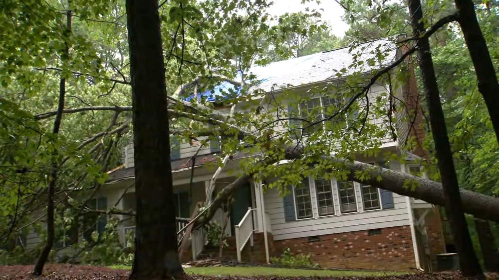 Tree falls on Wake County house 