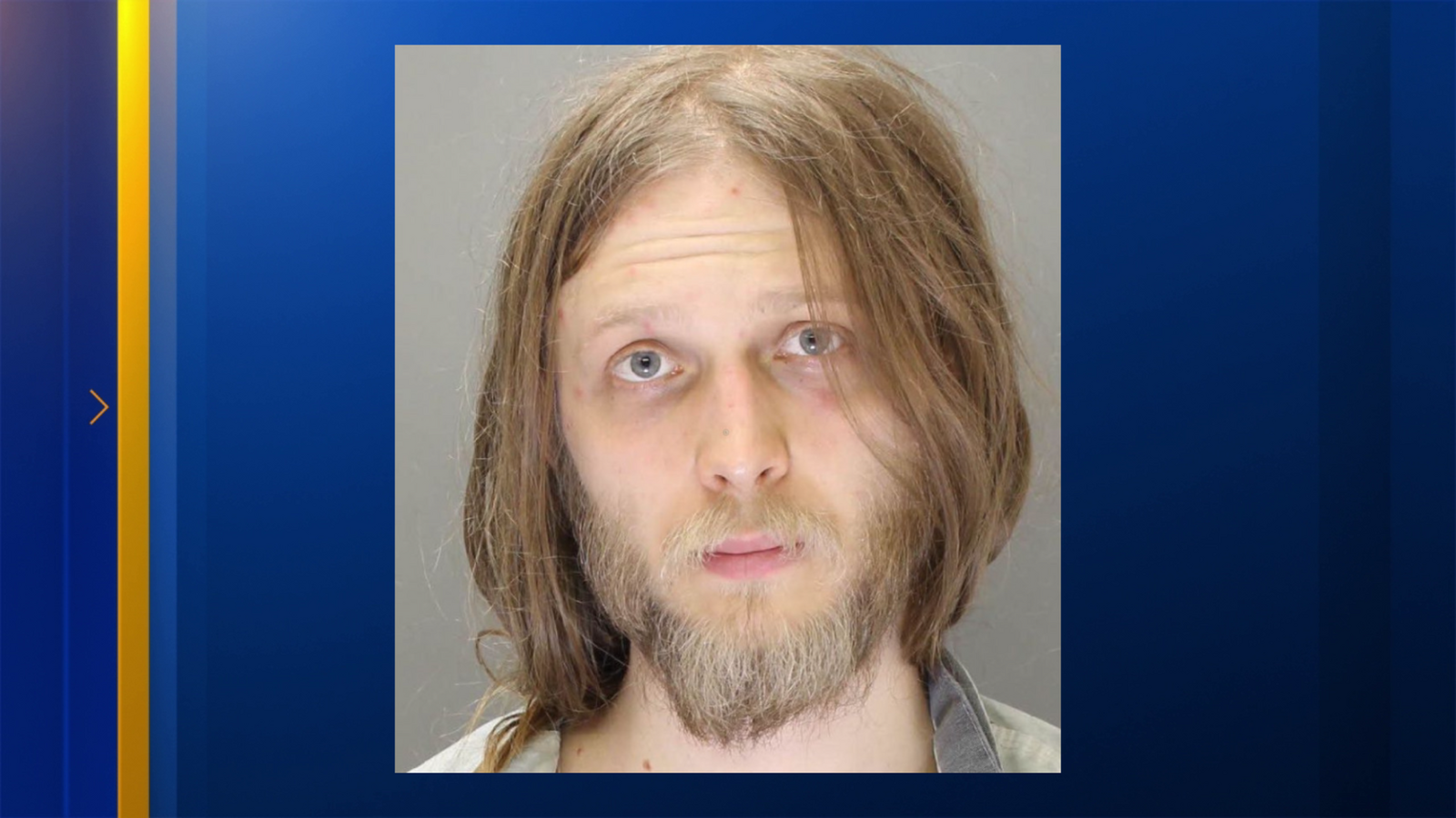 Man stabs sister 20 times, wounds brother after argument over barking dogs, police say