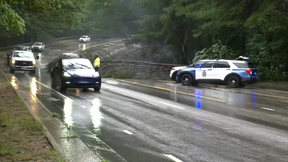 Cleanup continues after downed trees blocked streets in Raleigh