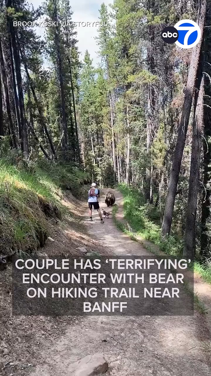 Couple has 'terrifying' encounter with bear on hiking trail near Banff