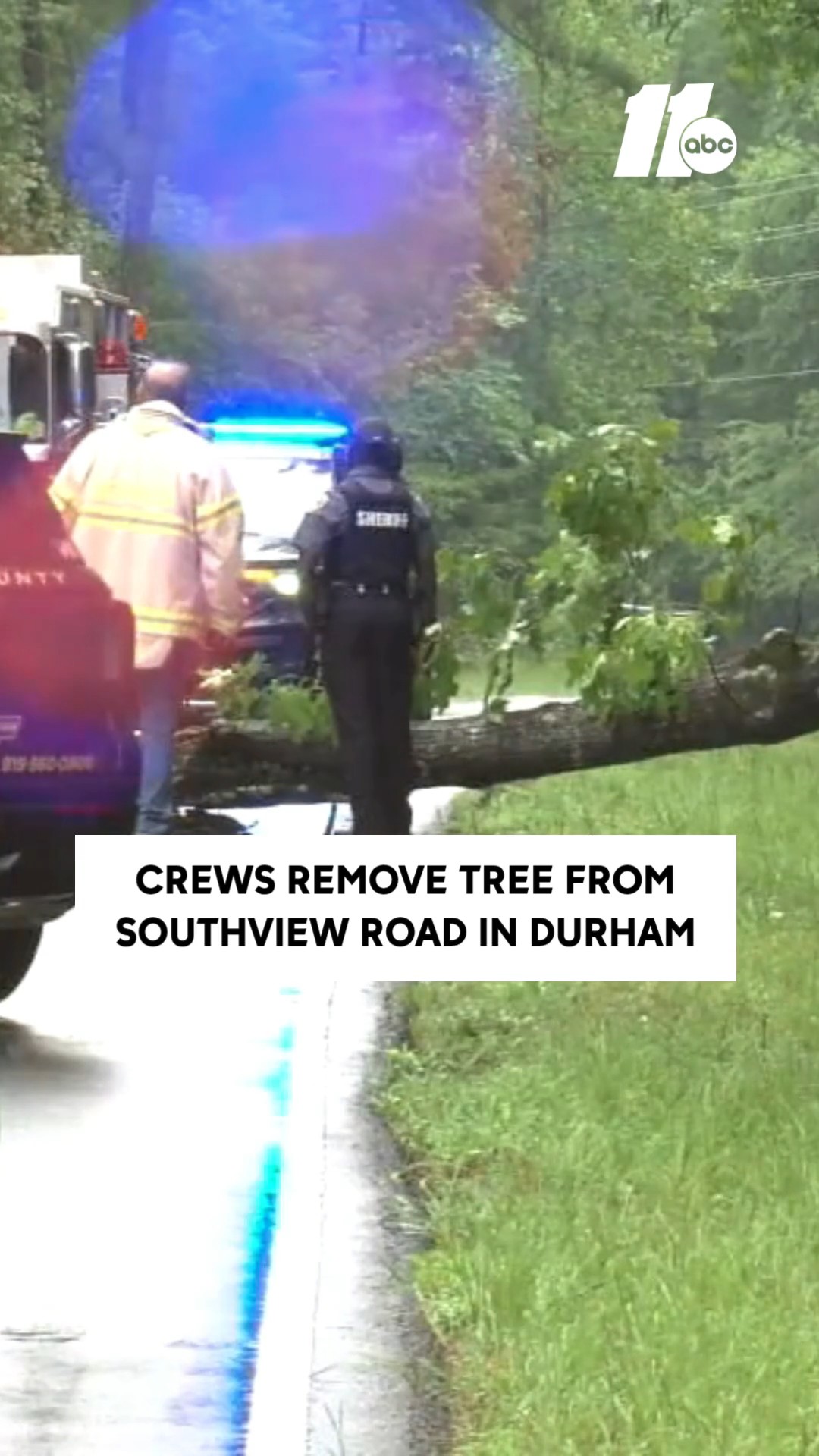 Large tree blocks lane on Southview Road in Durham
