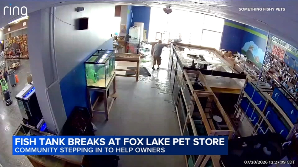 Massive fish tank shatters at north suburban store