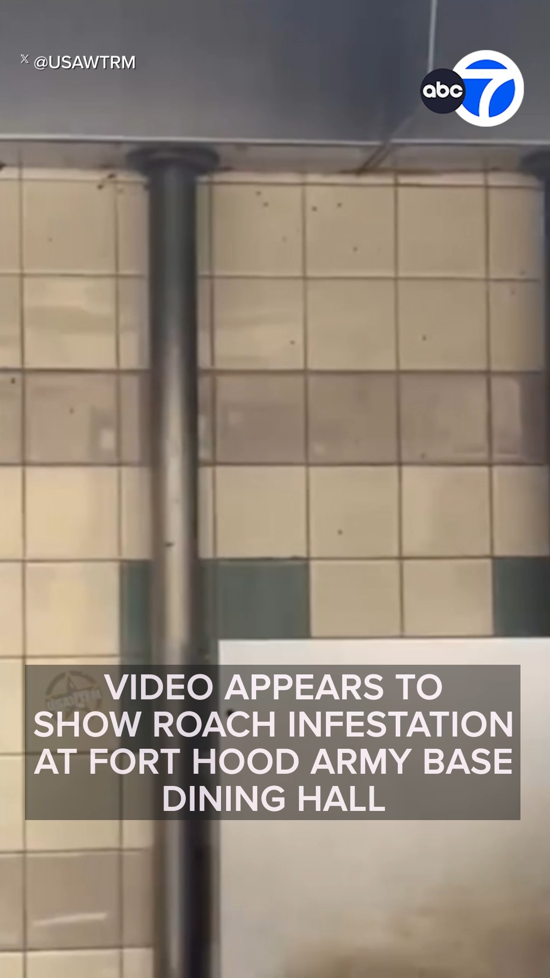 Video appears to show roach infestation at Fort Hood 
