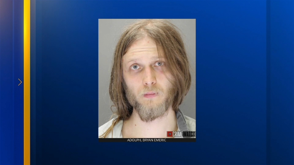 Man stabs sister 20 times, wounds brother after argument over barking dogs, police say